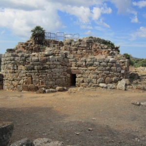 Palmavera