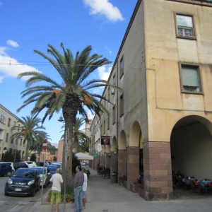 Fertilia