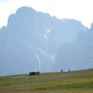 Hiking trails all over the plateau
