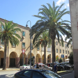 Fertilia