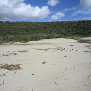 Cala Gonone - Spiaggia Cartoe