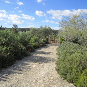Villa Gaskin