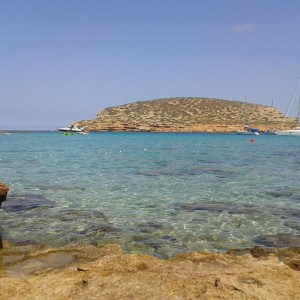 Rocky Shores