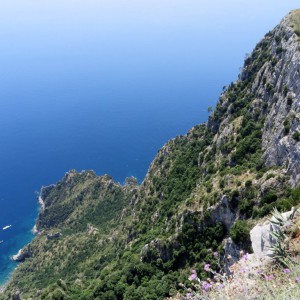 Atop Monte Solare