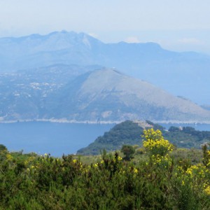 View from a side trail to the edge of the island