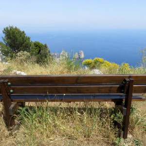 View from the bench