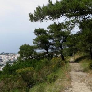 Continuing down the path