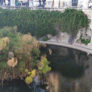 Day 8 - Siracusa, Sicily