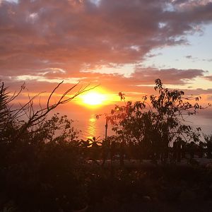 IMG_3930