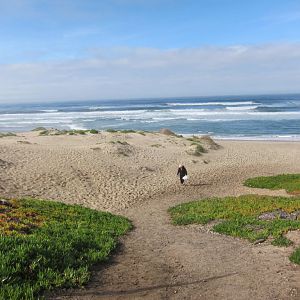 Slow Bowl 2017 - Surf Beach