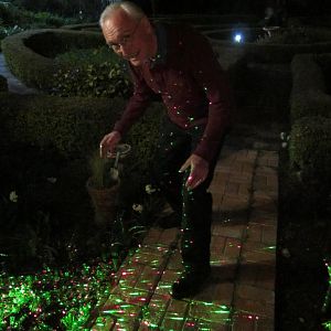 Slow Bowl 2017 - Lights in the garden