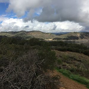 IMG_3693