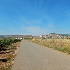 Leaving Logrono to Navarette