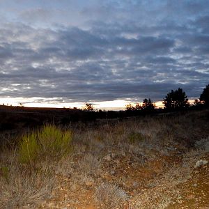 Beautiful Sunrise, Leaving Astorga