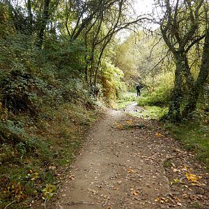 Forestry Path Leaving Riego de Ambros