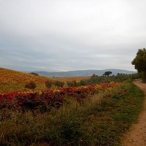 Walking Down to Villafranca del Bierzo