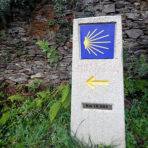 Yellow Arrow & Scallop Shell Pointing the Way