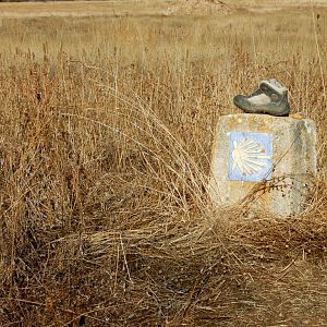 Camino Boot