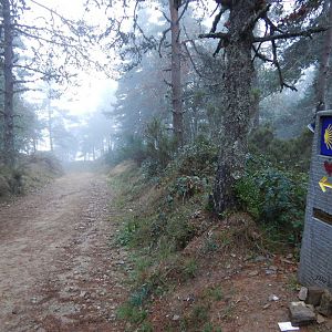 Misty Morning Leaving O Cebreiro