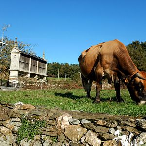 Hórreos Seen on My Way to Portomarin