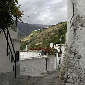 Pampaniera