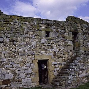 Black Middens