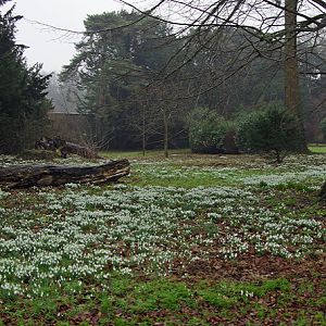 Walsingham Priory