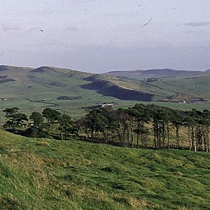 Hadrian's Wall