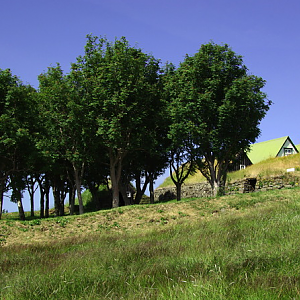 Folk Museum - Arbær Farm