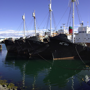 Old Whalers, Reykjavik