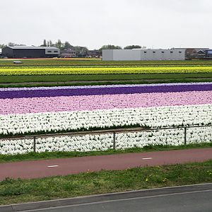 IMGP7940