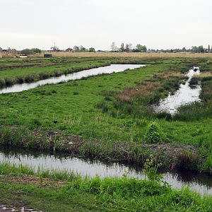 IMGP8112