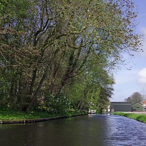 IMGP7995