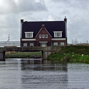 IMGP8003b