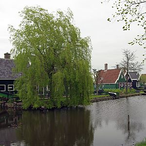 IMGP8154