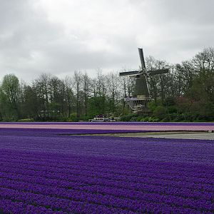 IMGP7962