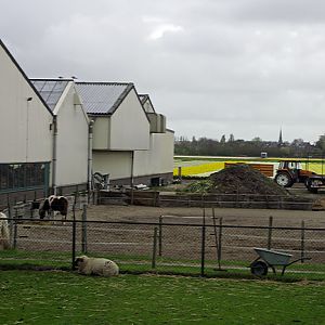 IMGP7956
