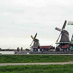IMGP8106