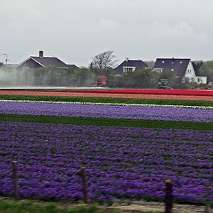 IMGP7942