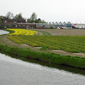 IMGP7941