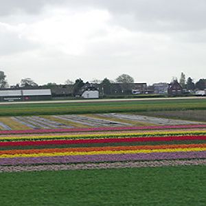 IMGP7959