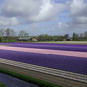 IMGP7993