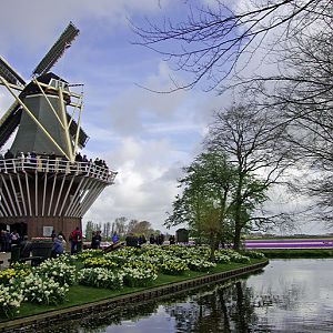 IMGP7990