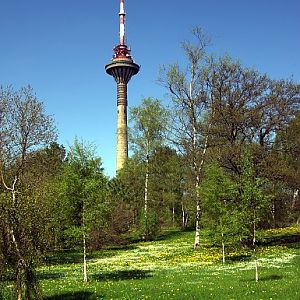 TV Tower