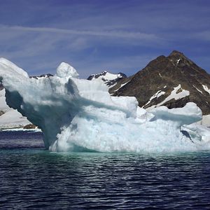 Iceberg On The Way To Apusiaajik Glacier