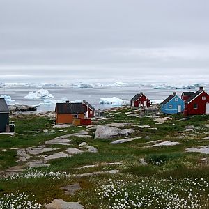 Oqaatsut And The Icebergs In Disco Bay