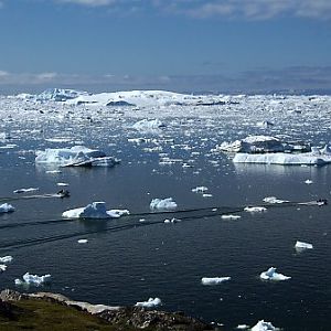 Icebergs In Disco Bay