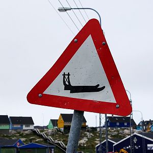 Dog Sled Road Sign
