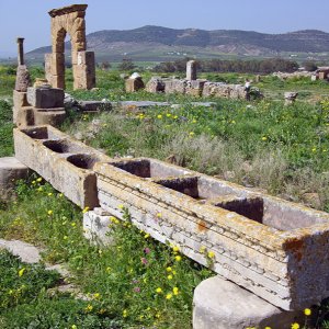Thuburbo Majus