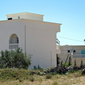 Modern houses on Djerba